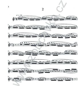 15 Studies - A. Davis - soprán SCHOTT