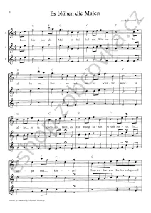 Jede Menge Weihnachtslieder - B. Ertl Holzschuh